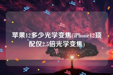 苹果12多少光学变焦(iPhone12顶配仅2.5倍光学变焦)