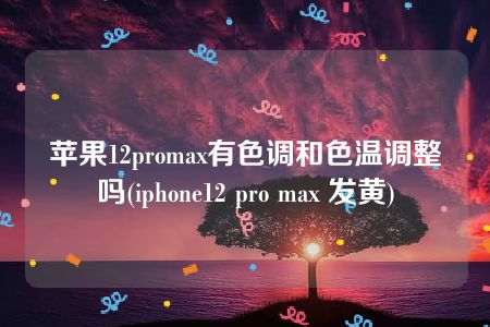 苹果12promax有色调和色温调整吗(iphone12 pro max 发黄)