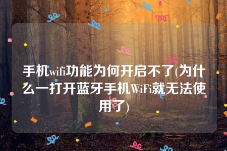 手机wifi功能为何开启不了(为什么一打开蓝牙手机WiFi就无法使用了)