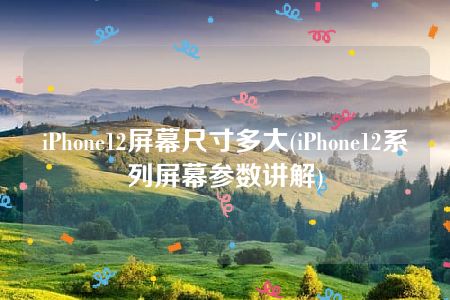 iPhone12屏幕尺寸多大(iPhone12系列屏幕参数讲解)