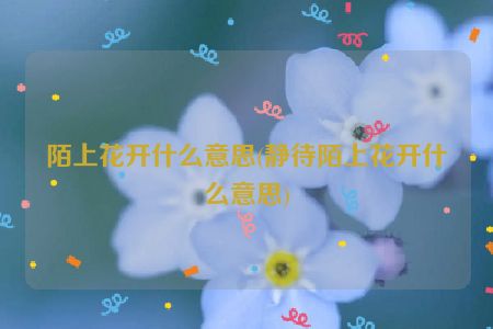 陌上花开什么意思(静待陌上花开什么意思)