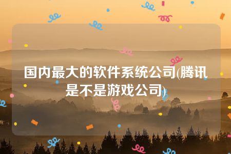 国内最大的软件系统公司(腾讯是不是游戏公司)