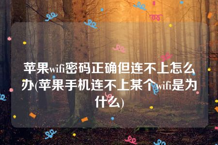 苹果wifi密码正确但连不上怎么办(苹果手机连不上某个wifi是为什么)