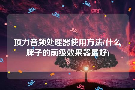 顶力音频处理器使用方法(什么牌子的前级效果器最好)