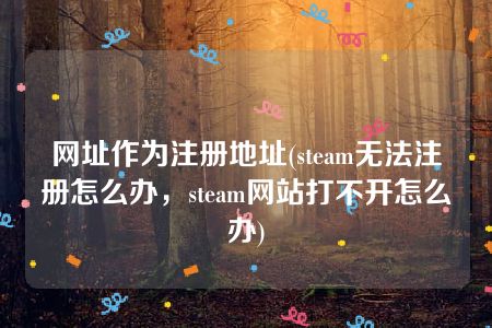 网址作为注册地址(steam无法注册怎么办，steam网站打不开怎么办)