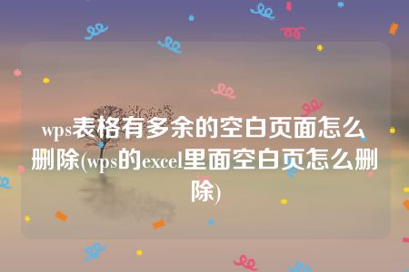 wps表格有多余的空白页面怎么删除(wps的excel里面空白页怎么删除)