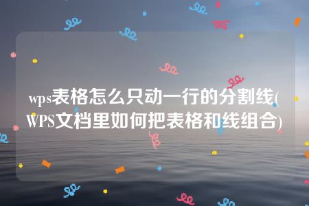 wps表格怎么只动一行的分割线(WPS文档里如何把表格和线组合)