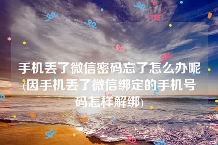 手机丢了微信密码忘了怎么办呢(因手机丢了微信绑定的手机号码怎样解绑)