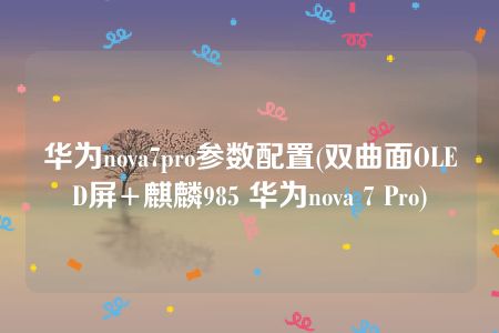 华为nova7pro参数配置(双曲面OLED屏+麒麟985 华为nova 7 Pro)