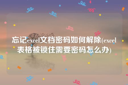 忘记excel文档密码如何解除(excel表格被锁住需要密码怎么办)