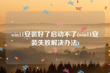 win11安装好了启动不了(win11安装失败解决办法)