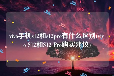 vivo手机s12和s12pro有什么区别(vivo S12和S12 Pro购买建议)