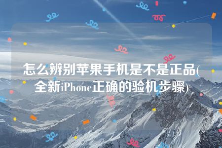 怎么辨别苹果手机是不是正品(全新iPhone正确的验机步骤)