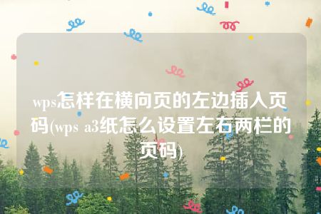 wps怎样在横向页的左边插入页码(wps a3纸怎么设置左右两栏的页码)