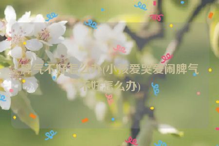 脾气不好怎么办(小孩爱哭爱闹脾气不好怎么办)