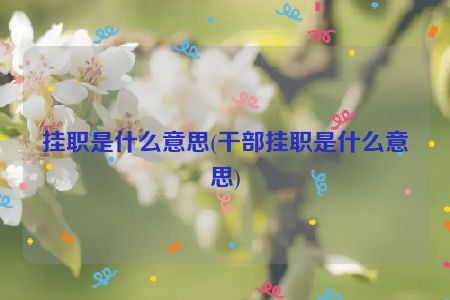 挂职是什么意思(干部挂职是什么意思)