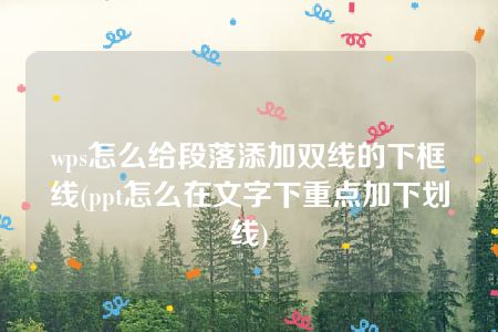 wps怎么给段落添加双线的下框线(ppt怎么在文字下重点加下划线)