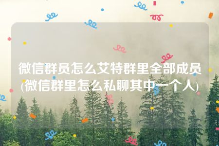 微信群员怎么艾特群里全部成员(微信群里怎么私聊其中一个人)