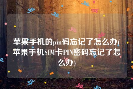 苹果手机的pin码忘记了怎么办(苹果手机SIM卡PIN密码忘记了怎么办)