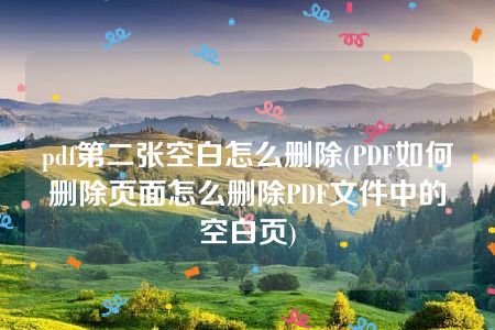 pdf第二张空白怎么删除(PDF如何删除页面怎么删除PDF文件中的空白页)