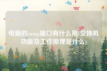 电脑的snmp端口有什么用(交换机功能及工作原理是什么)