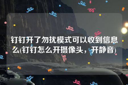 钉钉开了勿扰模式可以收到信息么(钉钉怎么开摄像头，开静音)