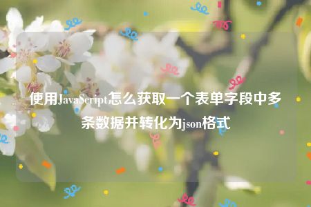 使用JavaScript怎么获取一个表单字段中多条数据并转化为json格式