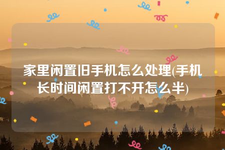 家里闲置旧手机怎么处理(手机长时间闲置打不开怎么半)