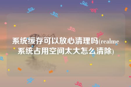 系统缓存可以放心清理吗(realme系统占用空间太大怎么清除)