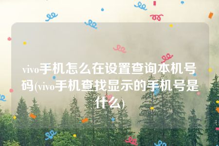 vivo手机怎么在设置查询本机号码(vivo手机查找显示的手机号是什么)