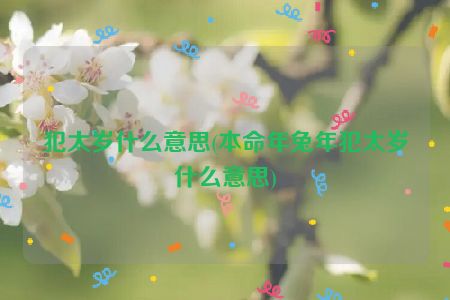 犯太岁什么意思(本命年兔年犯太岁什么意思)