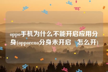 oppo手机为什么不能开启应用分身(opporeno分身未开启   怎么开)