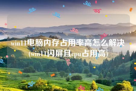 win11电脑内存占用率高怎么解决(win11闪屏且cpu占用高)