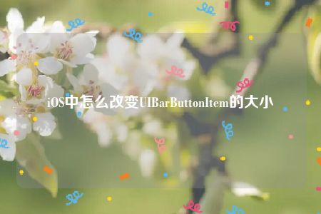 iOS中怎么改变UIBarButtonItem的大小