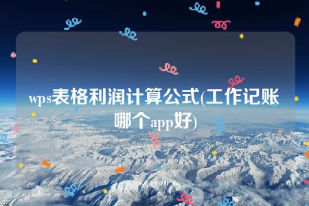 wps表格利润计算公式(工作记账哪个app好)