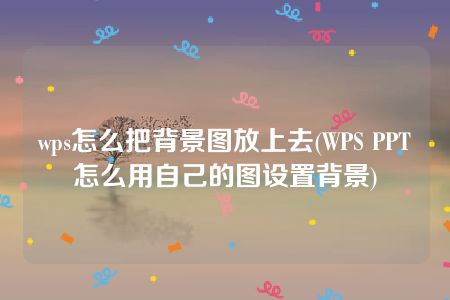 wps怎么把背景图放上去(WPS PPT怎么用自己的图设置背景)