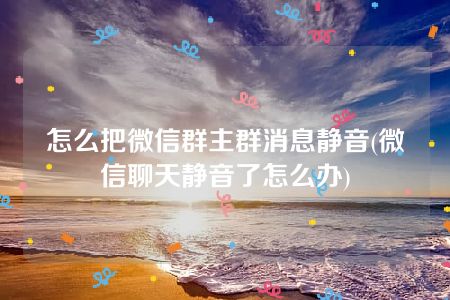 怎么把微信群主群消息静音(微信聊天静音了怎么办)