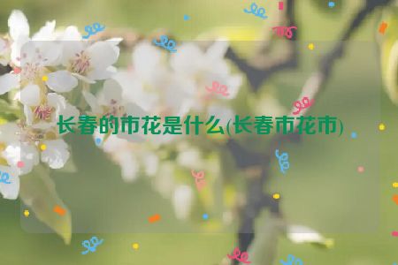 长春的市花是什么(长春市花市)