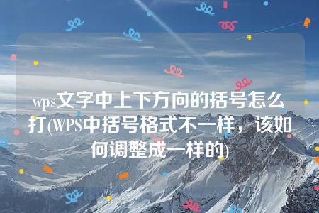 wps文字中上下方向的括号怎么打(WPS中括号格式不一样，该如何调整成一样的)