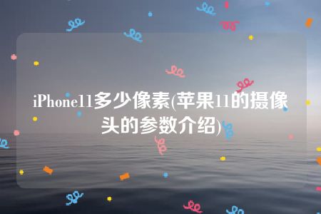 iPhone11多少像素(苹果11的摄像头的参数介绍)