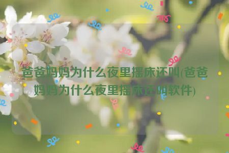 爸爸妈妈为什么夜里摇床还叫(爸爸妈妈为什么夜里摇床还叫软件)