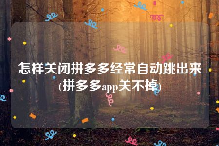 怎样关闭拼多多经常自动跳出来(拼多多app关不掉)