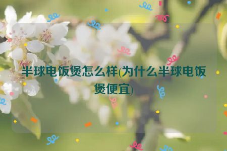 半球电饭煲怎么样(为什么半球电饭煲便宜)