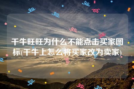 千牛旺旺为什么不能点击买家图标(千牛上怎么将买家改为卖家)