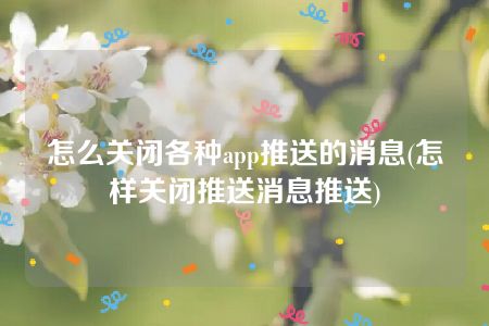 怎么关闭各种app推送的消息(怎样关闭推送消息推送)