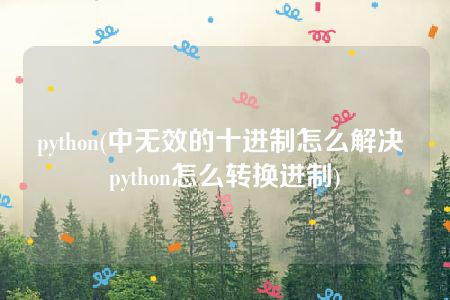 python(中无效的十进制怎么解决 python怎么转换进制)