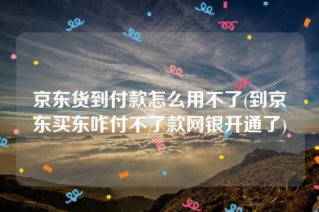 京东货到付款怎么用不了(到京东买东咋付不了款网银开通了)