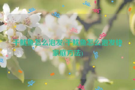 干鱿鱼怎么泡发(干鱿鱼怎么泡发快家庭方法)