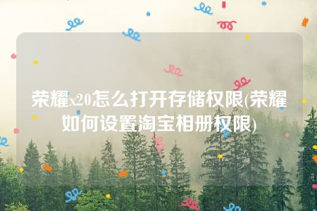 荣耀x20怎么打开存储权限(荣耀如何设置淘宝相册权限)