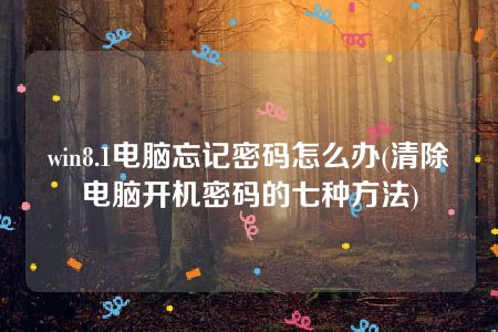 win8.1电脑忘记密码怎么办(清除电脑开机密码的七种方法)